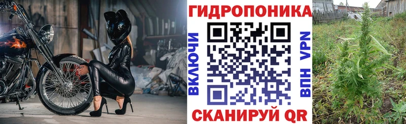 Где продают наркотики Кизилюрт Cocaine  A-PVP  Конопля  АМФЕТАМИН  Гашиш 