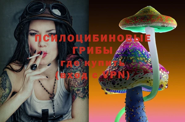 apvp Абинск