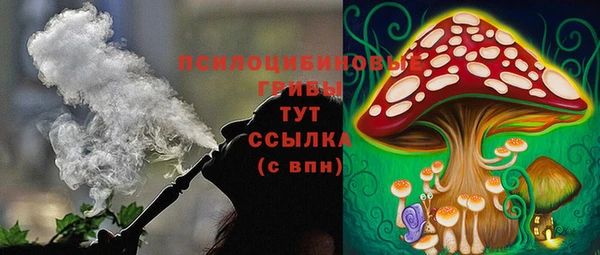 apvp Абинск