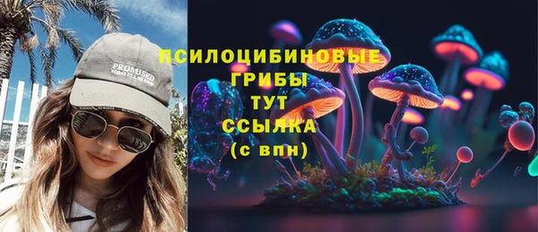 СК Абдулино