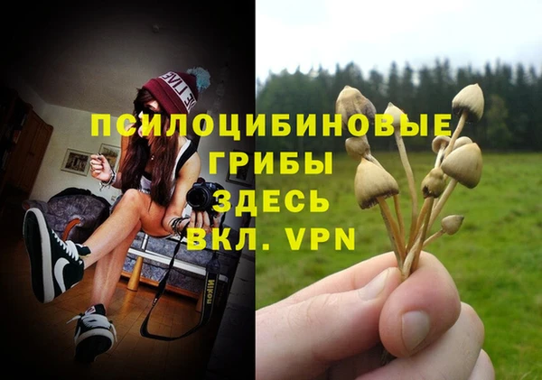 СК Абдулино