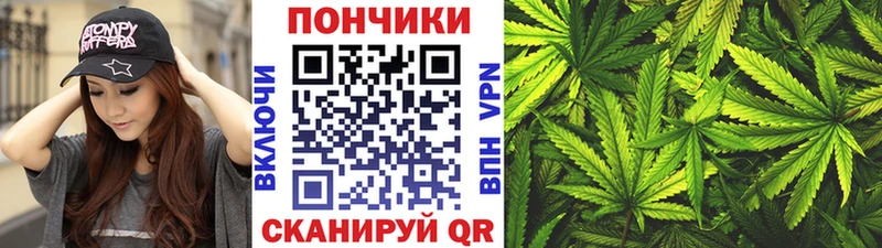 Бошки марихуана индика  где продают наркотики  площадка как зайти  Кизилюрт 